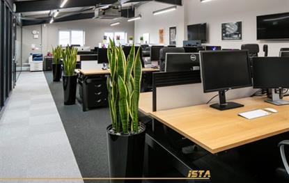 گیاهان فضای اداری